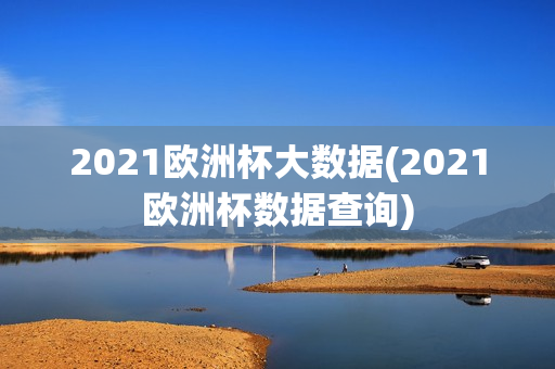 2021欧洲杯大数据(2021欧洲杯数据查询)