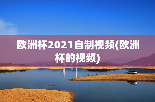 欧洲杯2021自制视频(欧洲杯的视频)