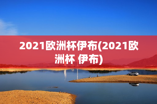 2021欧洲杯伊布(2021欧洲杯 伊布)