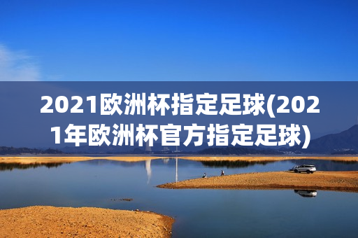 2021欧洲杯指定足球(2021年欧洲杯官方指定足球)