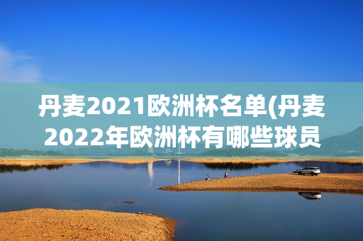 丹麦2021欧洲杯名单(丹麦2022年欧洲杯有哪些球员)