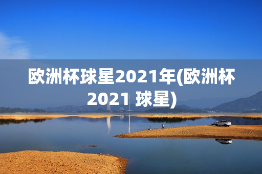 欧洲杯球星2021年(欧洲杯2021 球星)