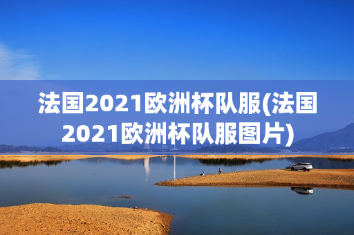 法国2021欧洲杯队服(法国2021欧洲杯队服图片)