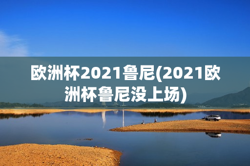 欧洲杯2021鲁尼(2021欧洲杯鲁尼没上场)