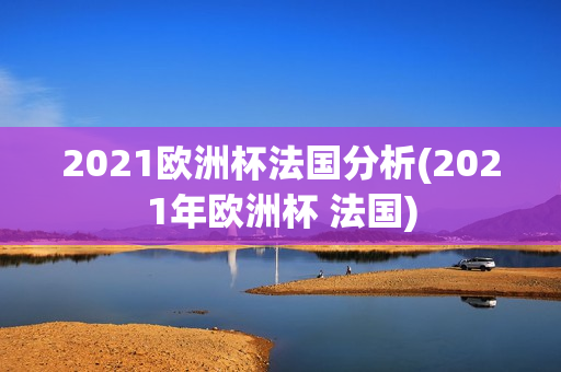 2021欧洲杯法国分析(2021年欧洲杯 法国)