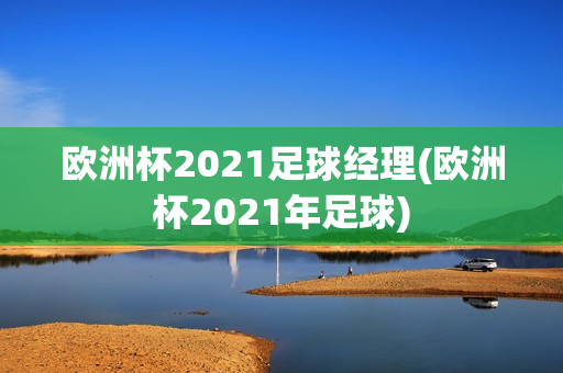 欧洲杯2021足球经理(欧洲杯2021年足球)